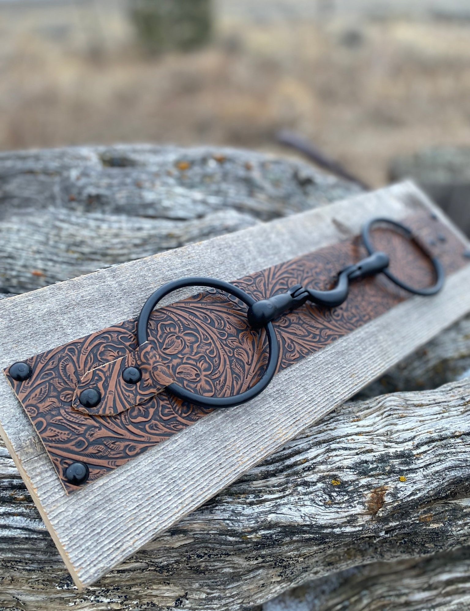 Bits and Leather Wall Hanging - LovLeathers