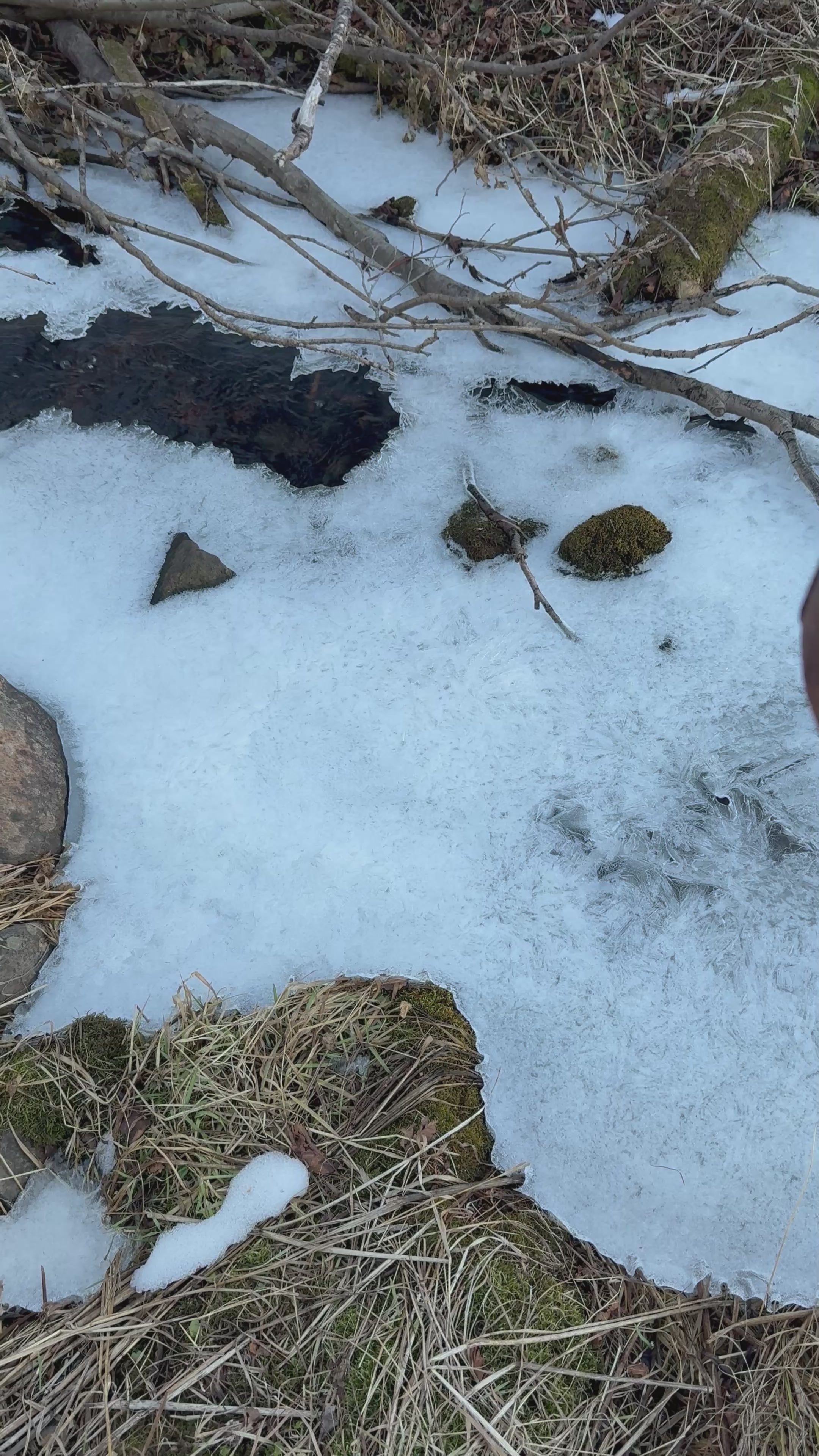 The Settler Bucket Bag - Brown Western Tool